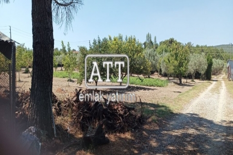 İzmir Bornova Çiçekliköy Satılık Çiftlik 43.817 m2  - ATT Emlak